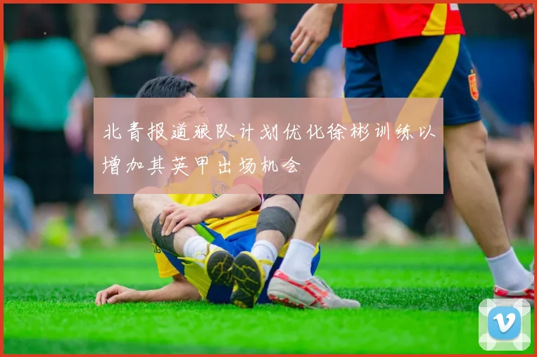 北青报道狼队计划优化徐彬训练以增加其英甲出场机会